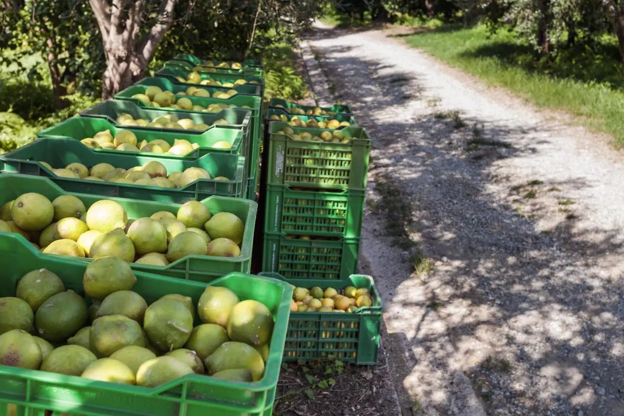 Gasthaus Agricontura Capri Leone