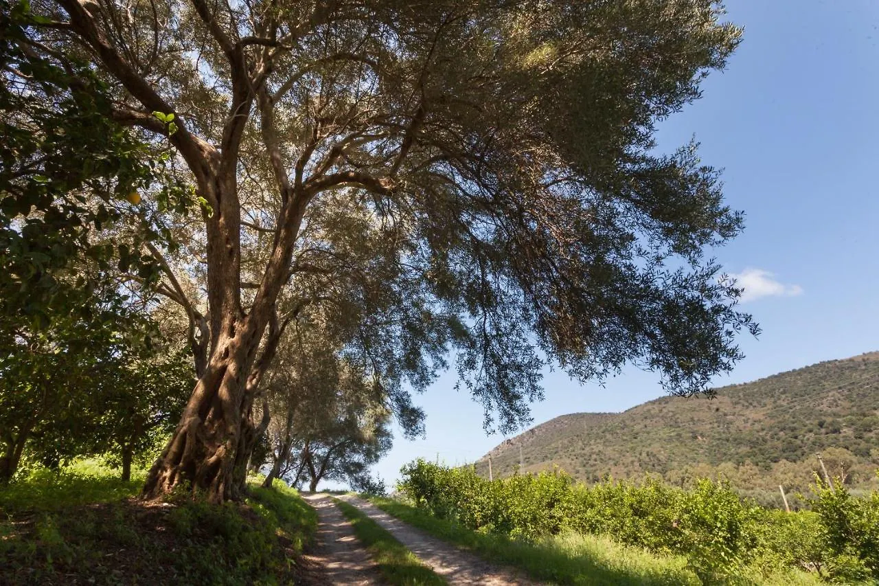 Gasthaus Agricontura Capri Leone